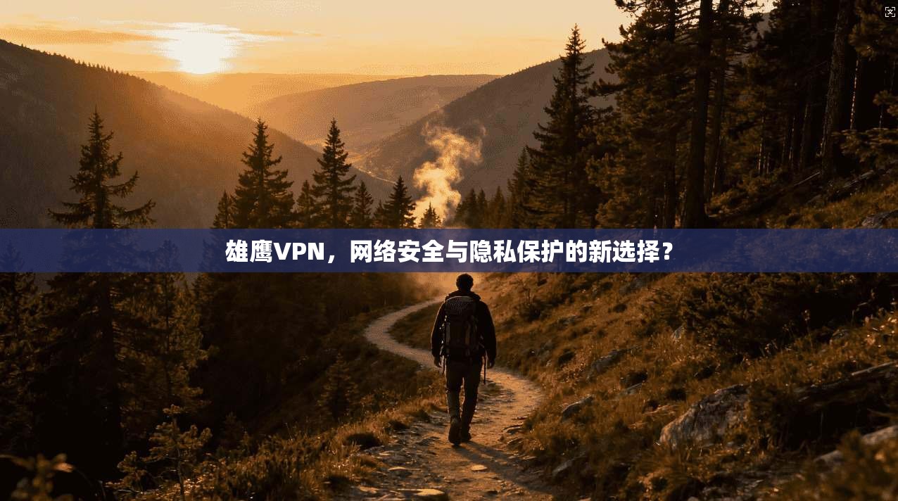 雄鹰VPN，网络安全与隐私保护的新选择？