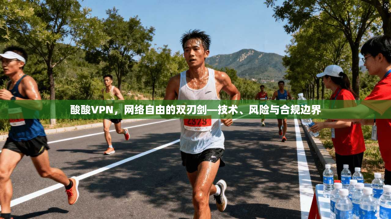 酸酸VPN，网络自由的双刃剑—技术、风险与合规边界