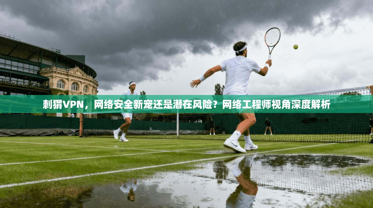 刺猬VPN，网络安全新宠还是潜在风险？网络工程师视角深度解析