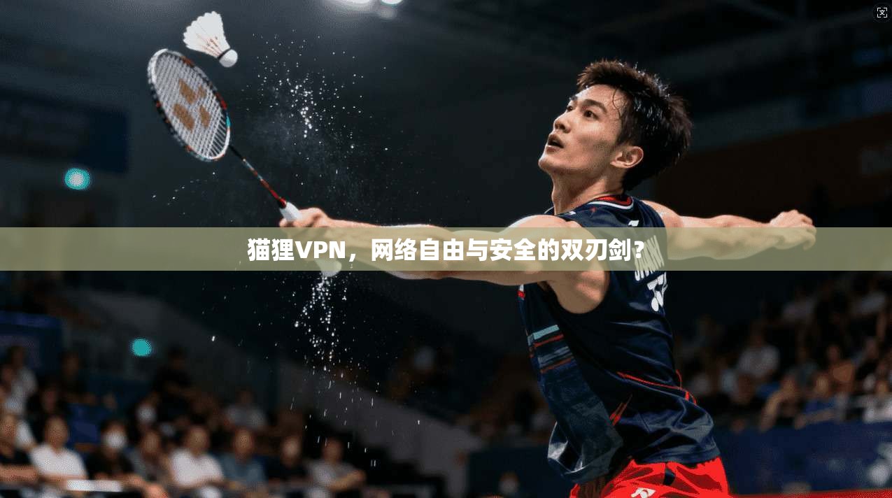 猫狸VPN，网络自由与安全的双刃剑？