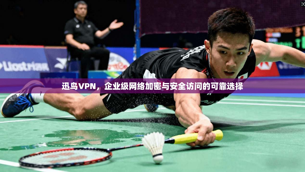 迅鸟VPN，企业级网络加密与安全访问的可靠选择