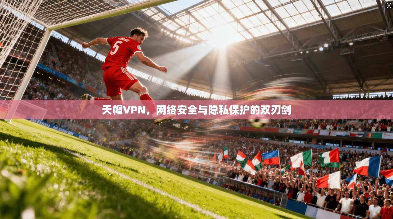 天帽VPN，网络安全与隐私保护的双刃剑