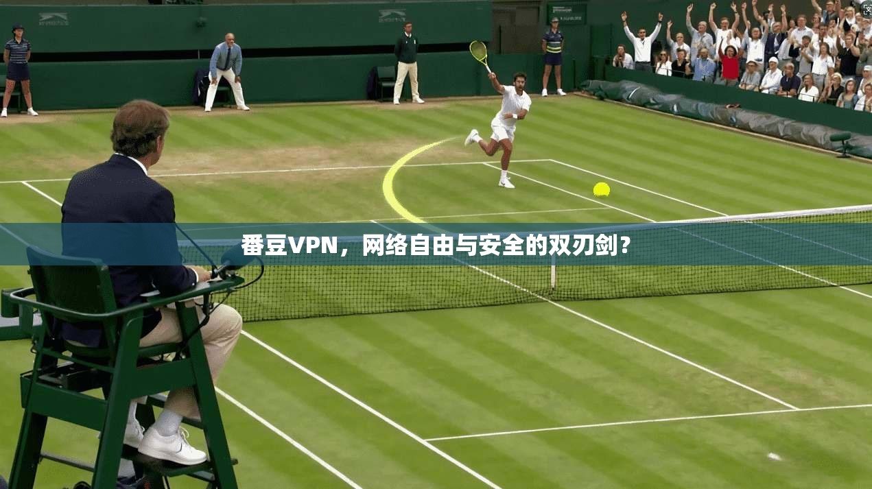 番豆VPN，网络自由与安全的双刃剑？