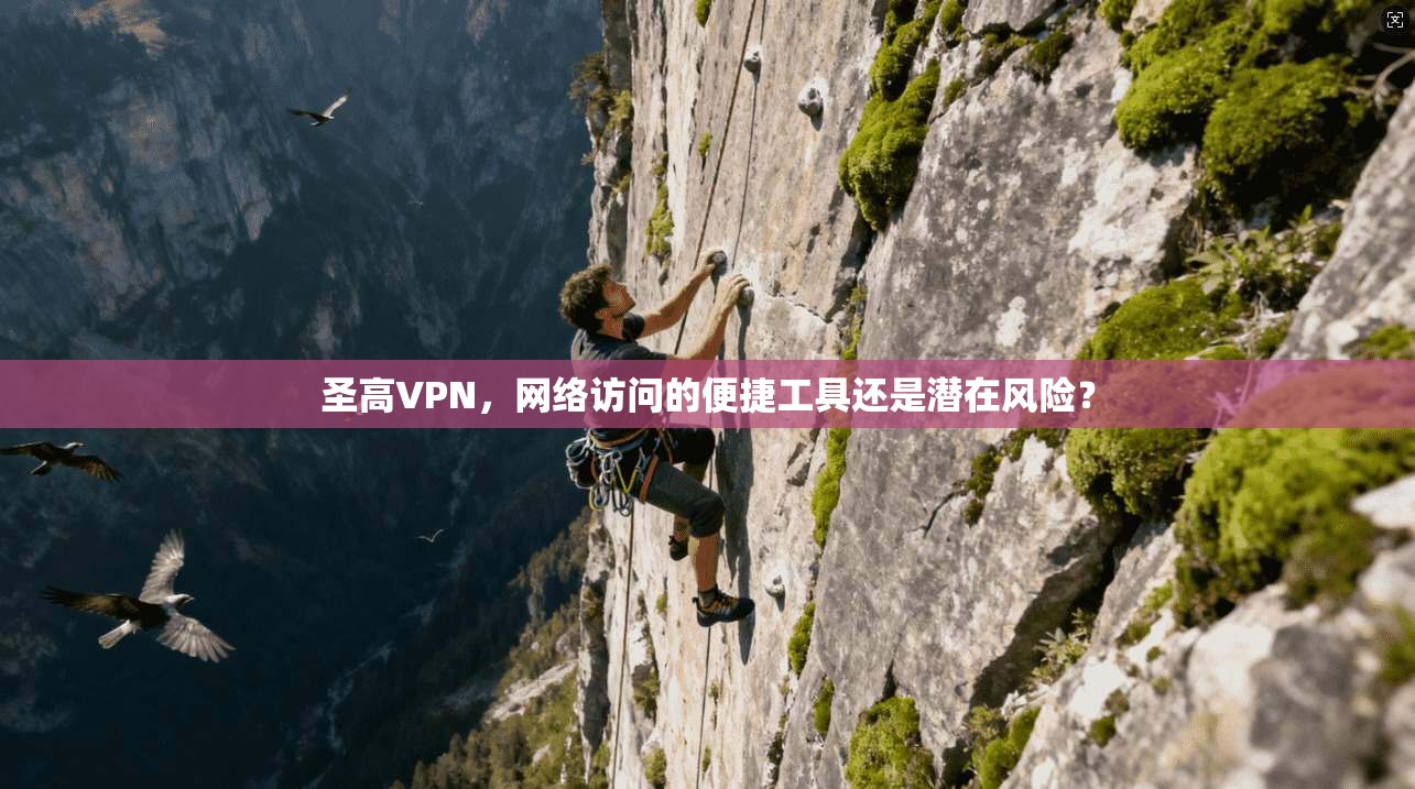 圣高VPN，网络访问的便捷工具还是潜在风险？