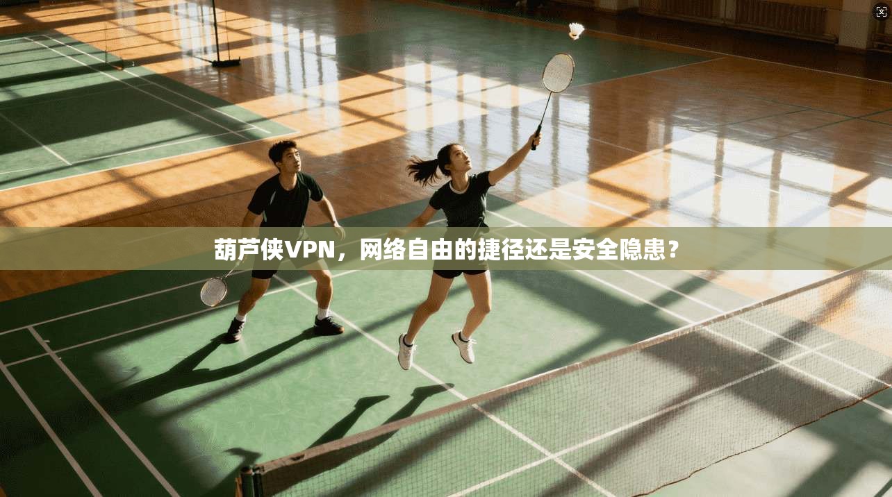 葫芦侠VPN，网络自由的捷径还是安全隐患？
