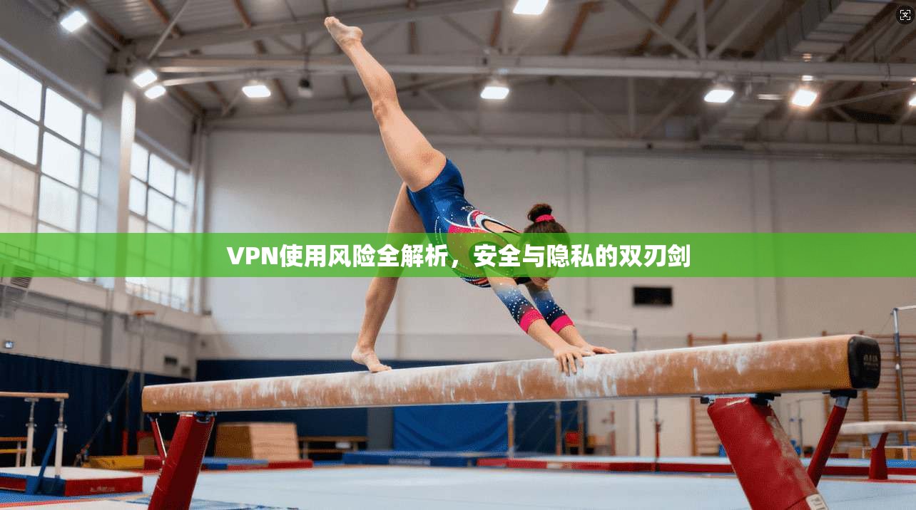 VPN使用风险全解析,安全与隐私的双刃剑
