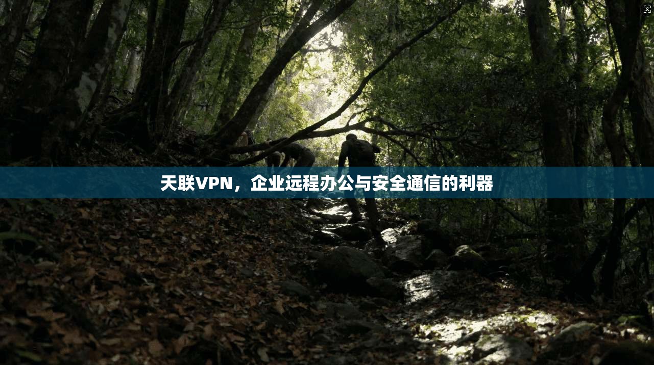 天联VPN,企业远程办公与安全通信的利器