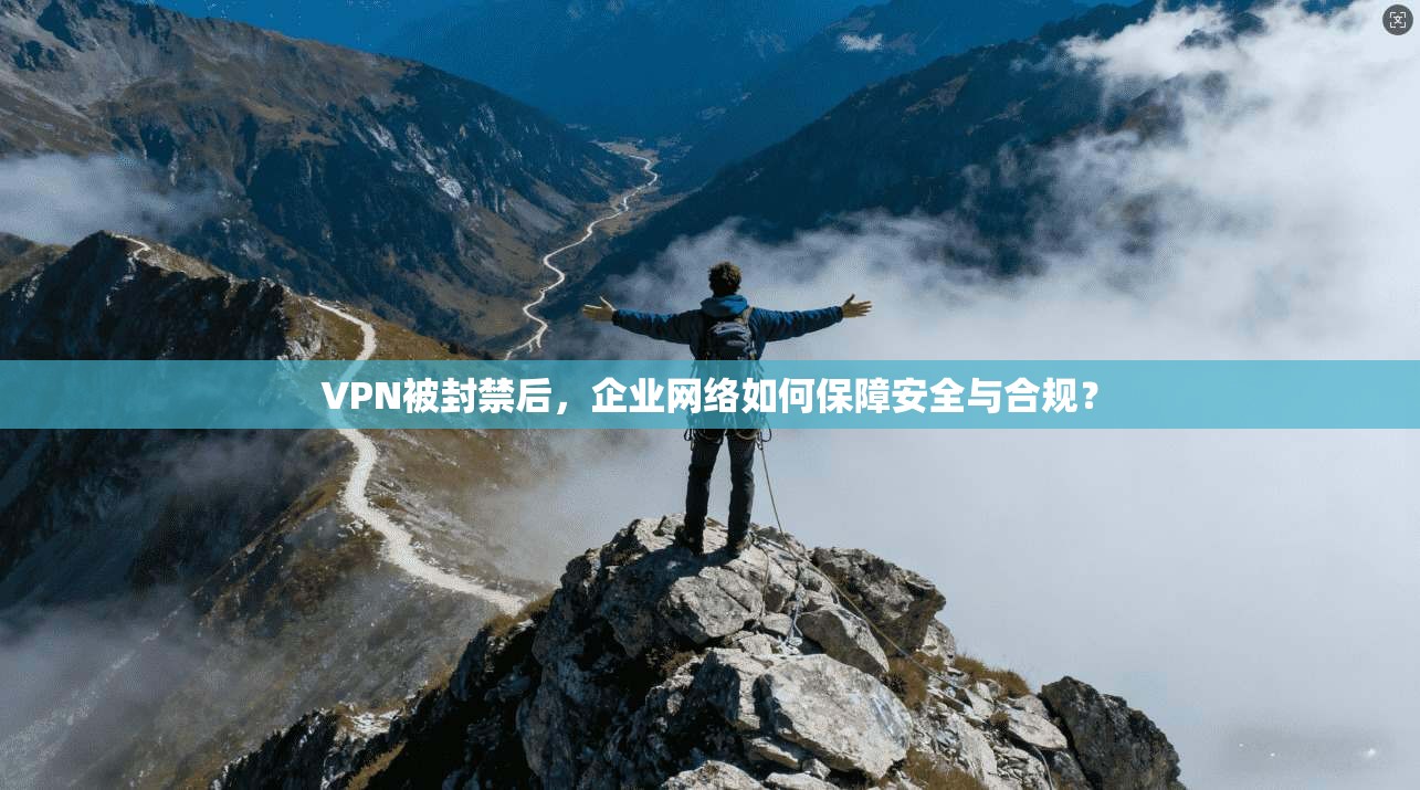 VPN被封禁后，企业网络如何保障安全与合规？