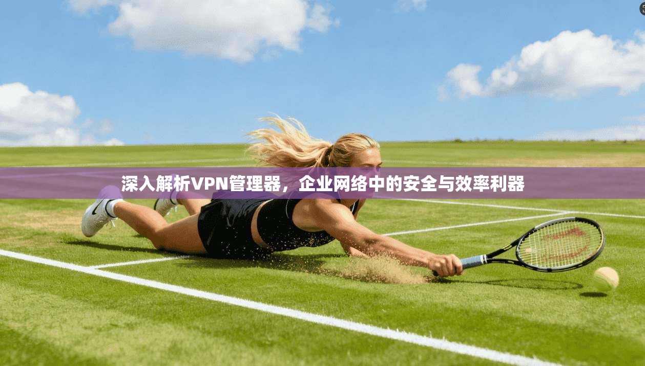 深入解析VPN管理器,企业网络中的安全与效率利器