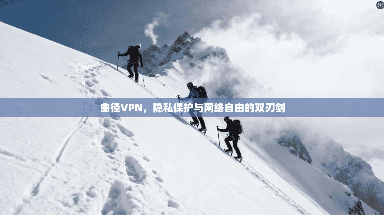 曲径VPN,隐私保护与网络自由的双刃剑