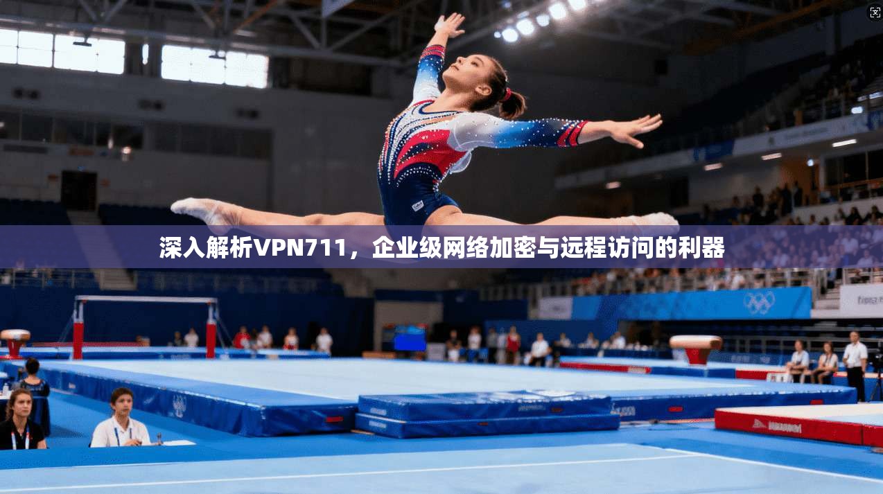 深入解析VPN711,企业级网络加密与远程访问的利器