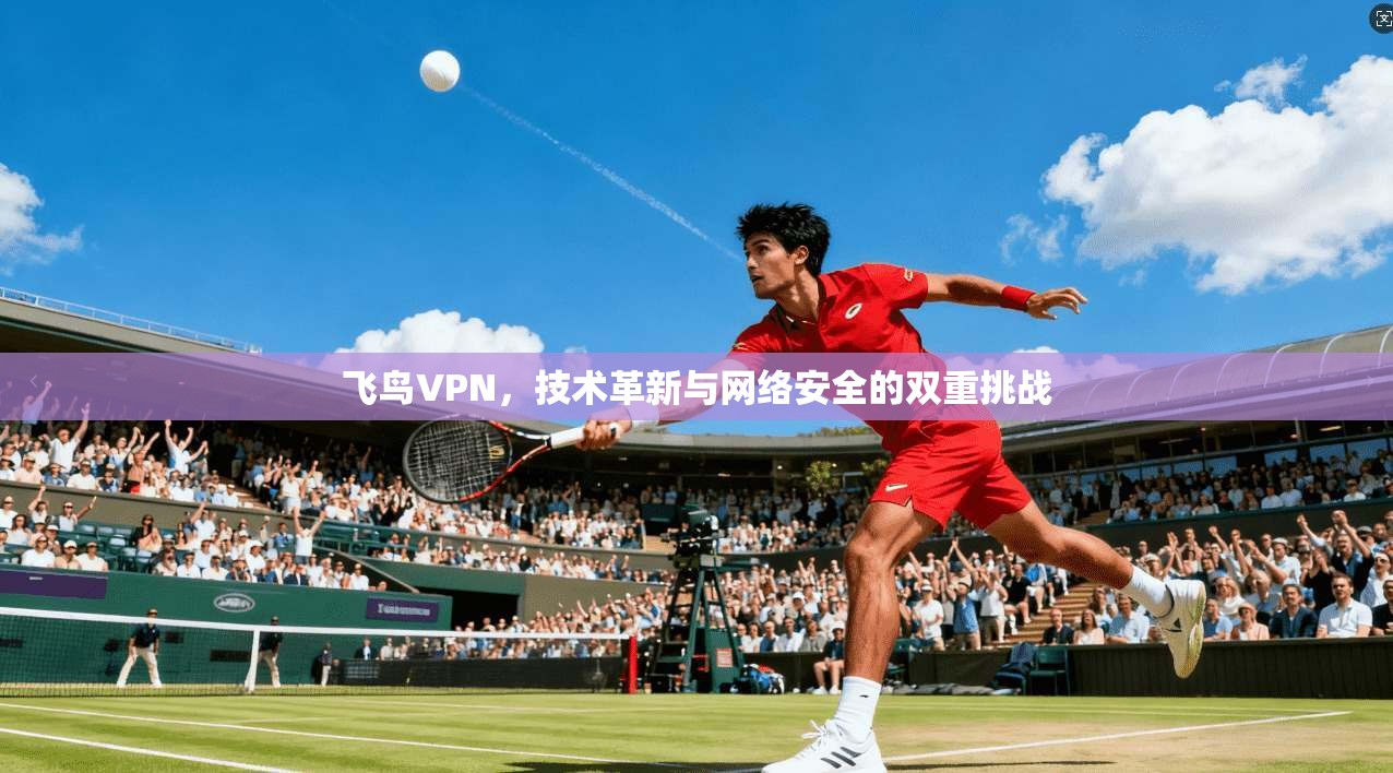 飞鸟VPN，技术革新与网络安全的双重挑战