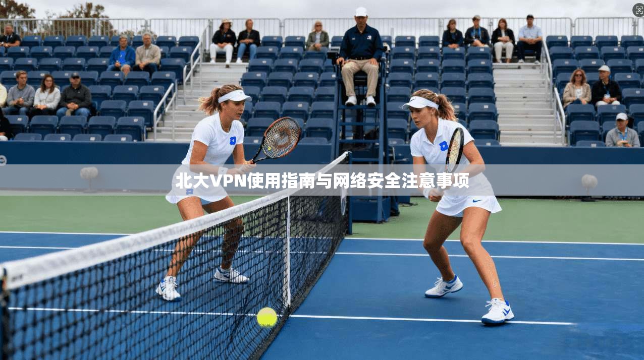 北大VPN使用指南与网络安全注意事项