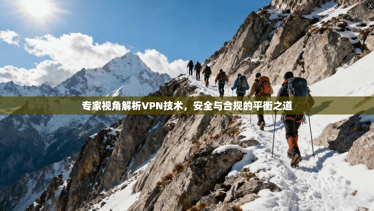 专家视角解析VPN技术,安全与合规的平衡之道
