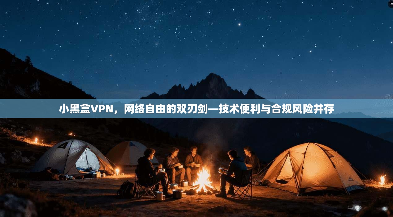 小黑盒VPN,网络自由的双刃剑—技术便利与合规风险并存