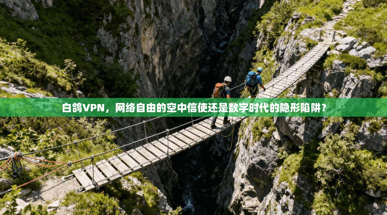 白鸽VPN，网络自由的空中信使还是数字时代的隐形陷阱？