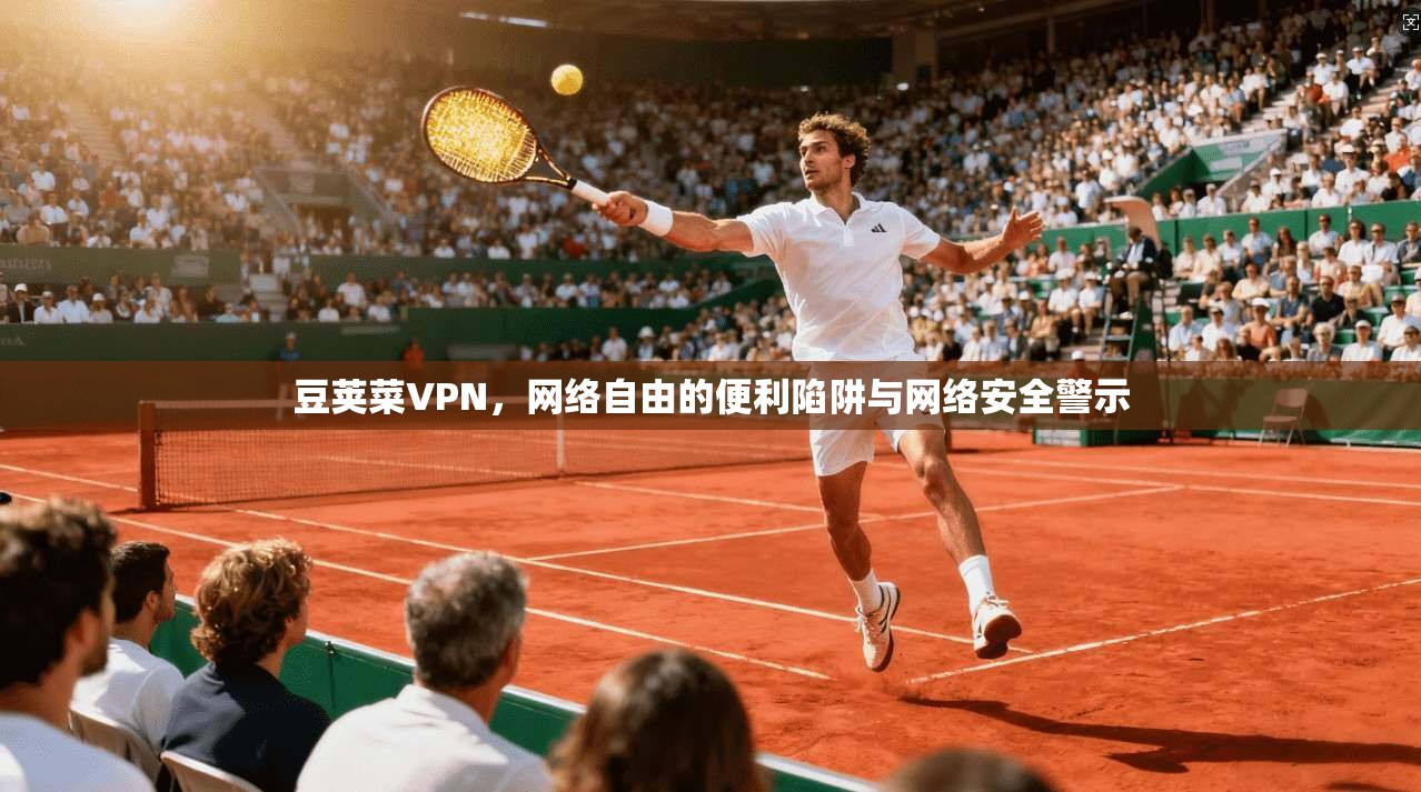 豆荚菜VPN，网络自由的便利陷阱与网络安全警示