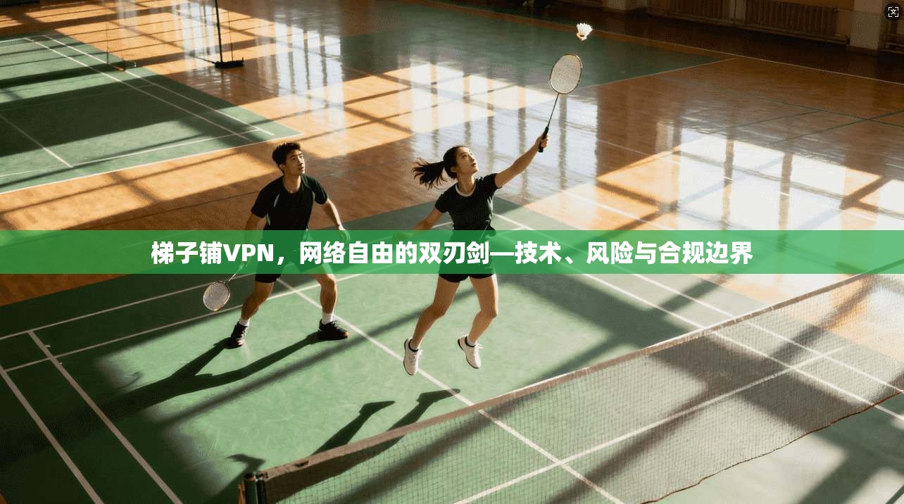 梯子铺VPN，网络自由的双刃剑—技术、风险与合规边界