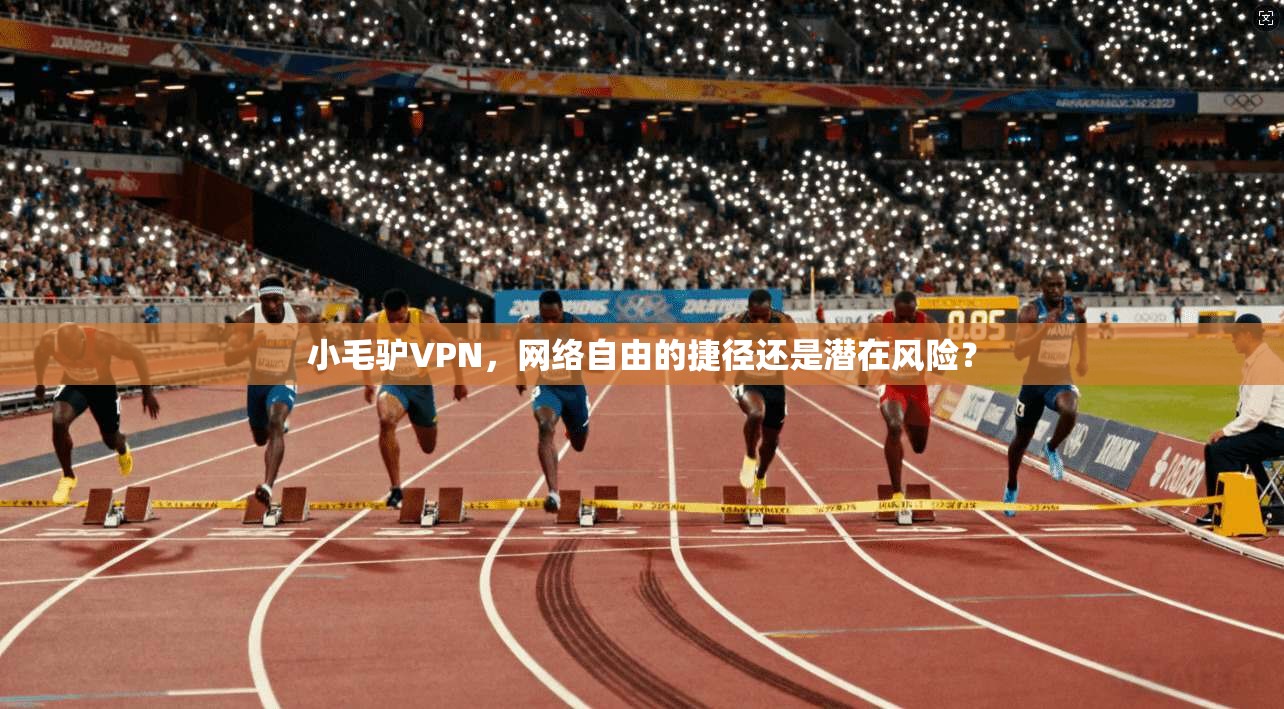 小毛驴VPN，网络自由的捷径还是潜在风险？