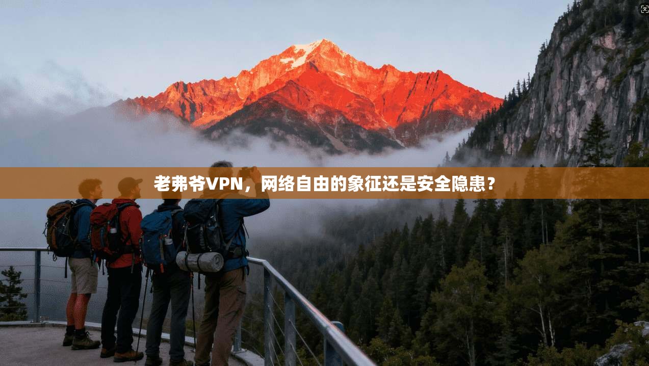 老弗爷VPN，网络自由的象征还是安全隐患？