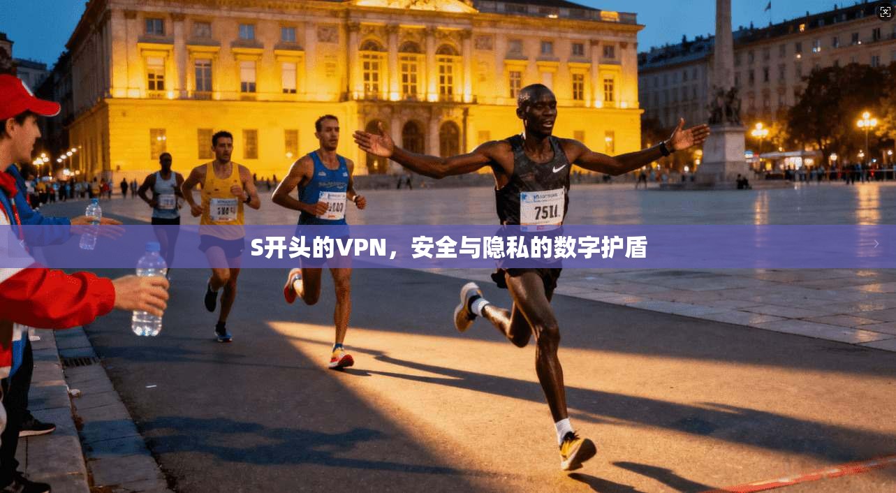 S开头的VPN，安全与隐私的数字护盾