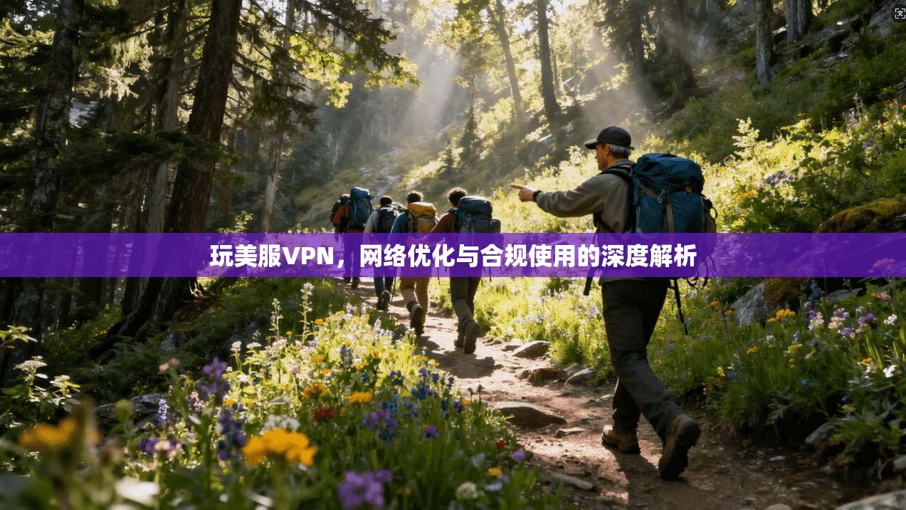 玩美服VPN,网络优化与合规使用的深度解析