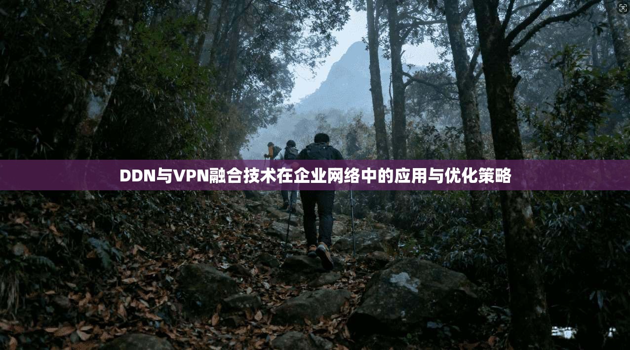 DDN与VPN融合技术在企业网络中的应用与优化策略