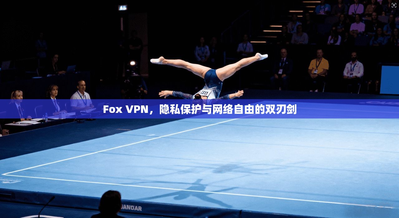 Fox VPN，隐私保护与网络自由的双刃剑