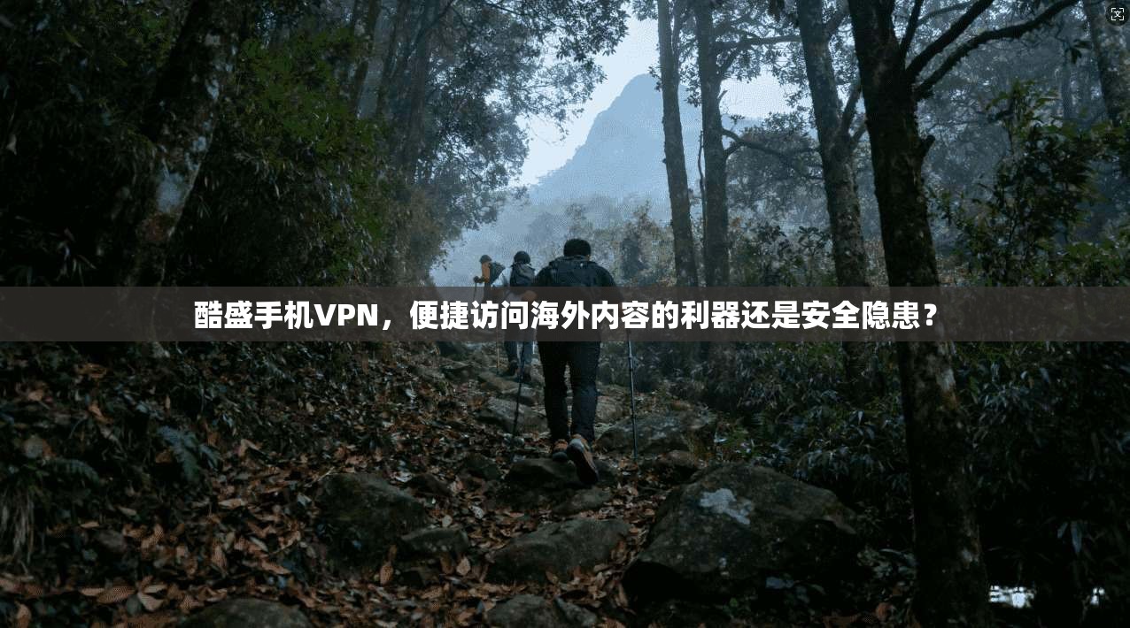 酷盛手机VPN,便捷访问海外内容的利器还是安全隐患?
