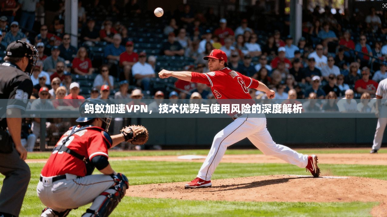 蚂蚁加速VPN,技术优势与使用风险的深度解析 蚂蚁加速VPN,技术优势与使用风险的深度解析