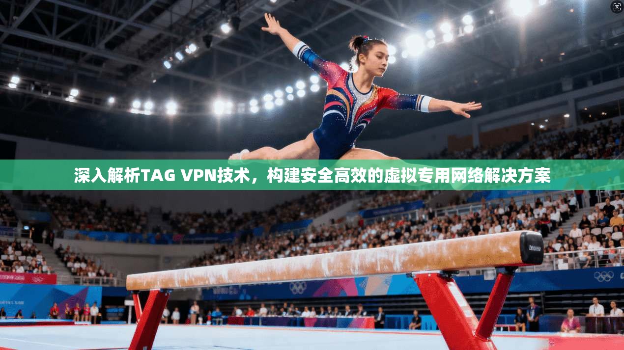深入解析TAG VPN技术，构建安全高效的虚拟专用网络解决方案