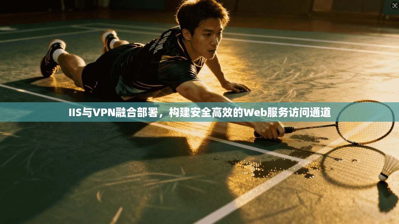 IIS与VPN融合部署，构建安全高效的Web服务访问通道