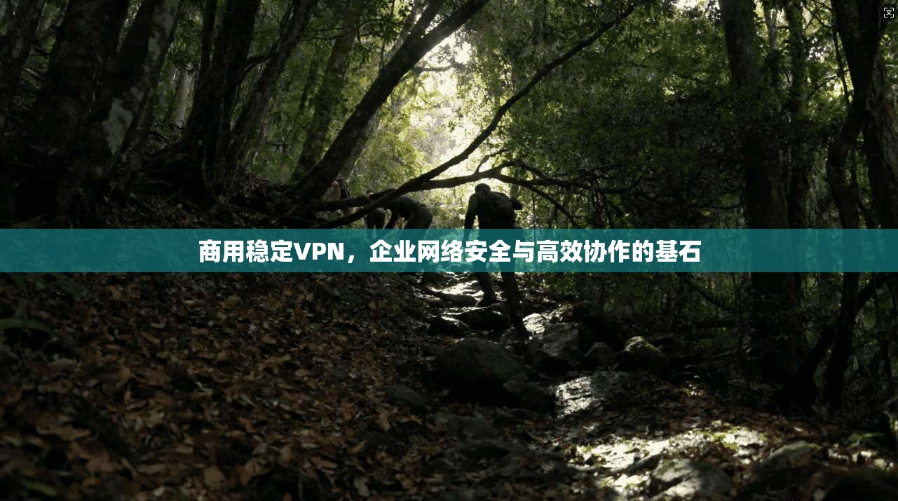 商用稳定VPN,企业网络安全与高效协作的基石