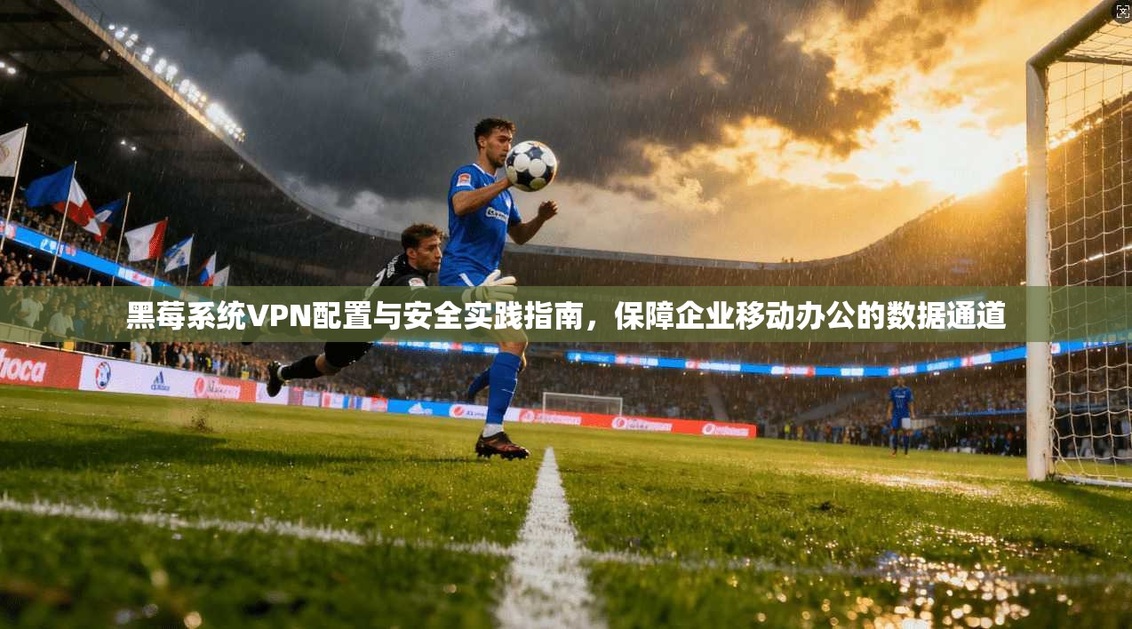 黑莓系统VPN配置与安全实践指南，保障企业移动办公的数据通道