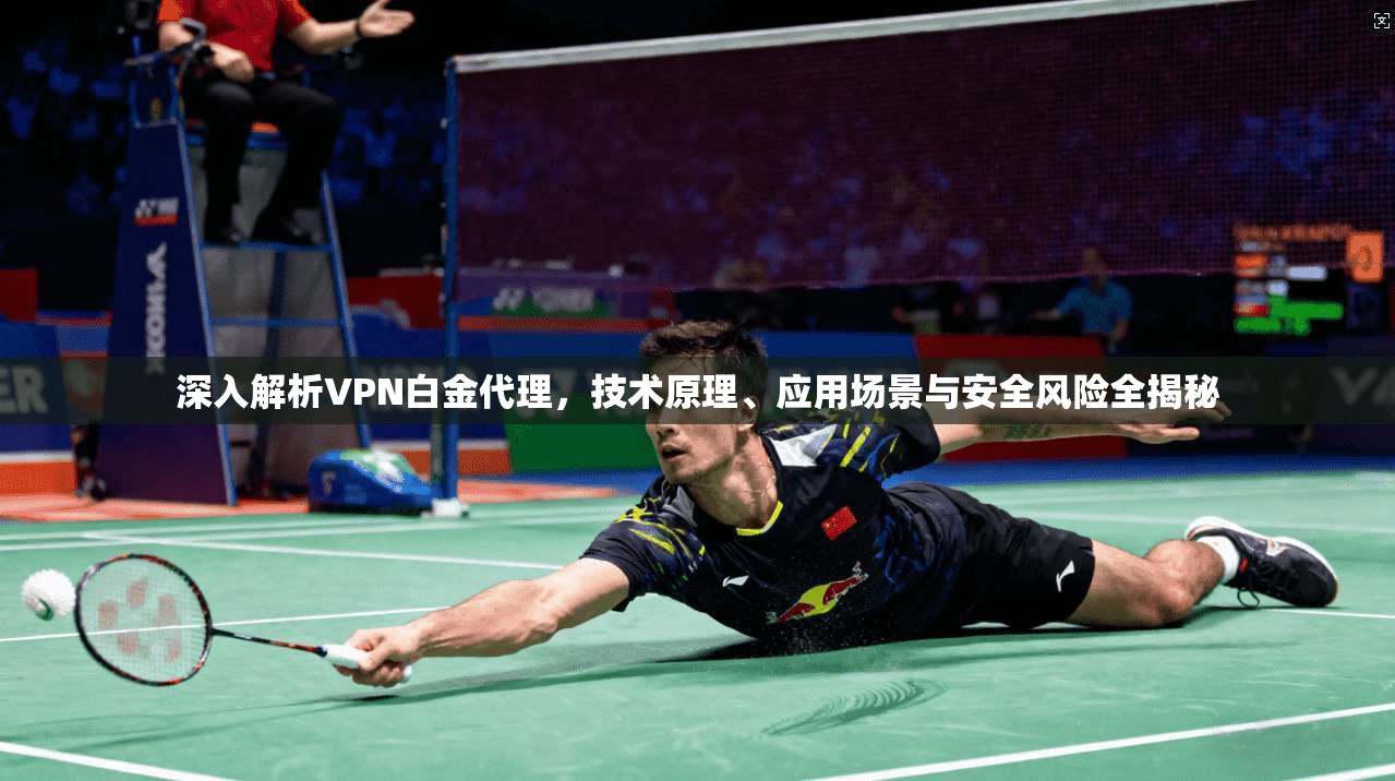 深入解析VPN白金代理，技术原理、应用场景与安全风险全揭秘