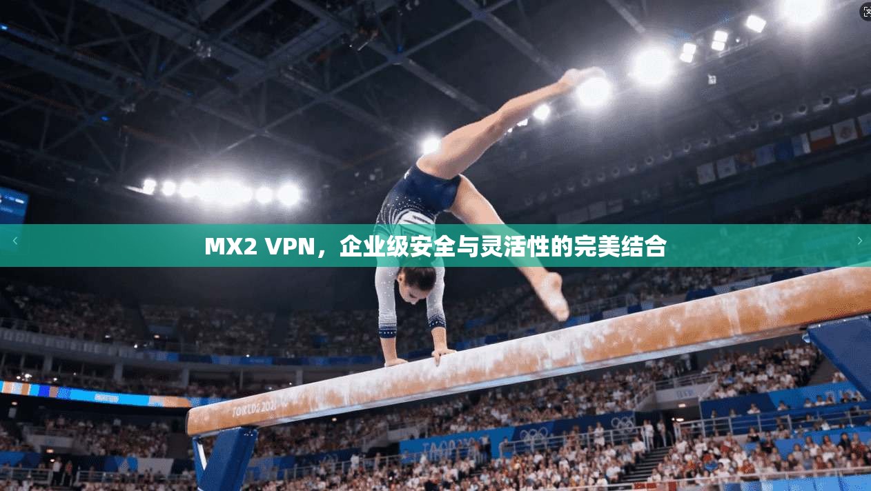 MX2 VPN，企业级安全与灵活性的完美结合