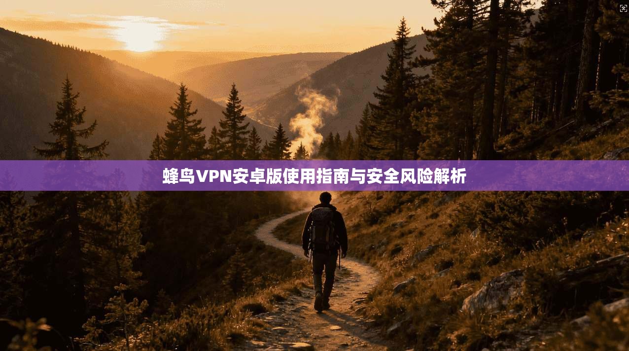 蜂鸟VPN安卓版使用指南与安全风险解析