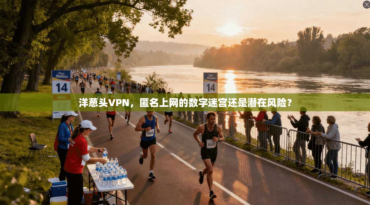 洋葱头VPN，匿名上网的数字迷宫还是潜在风险？