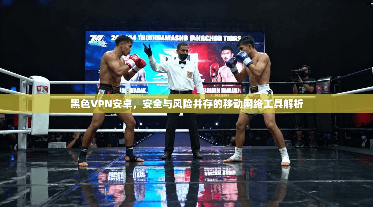 黑色VPN安卓，安全与风险并存的移动网络工具解析