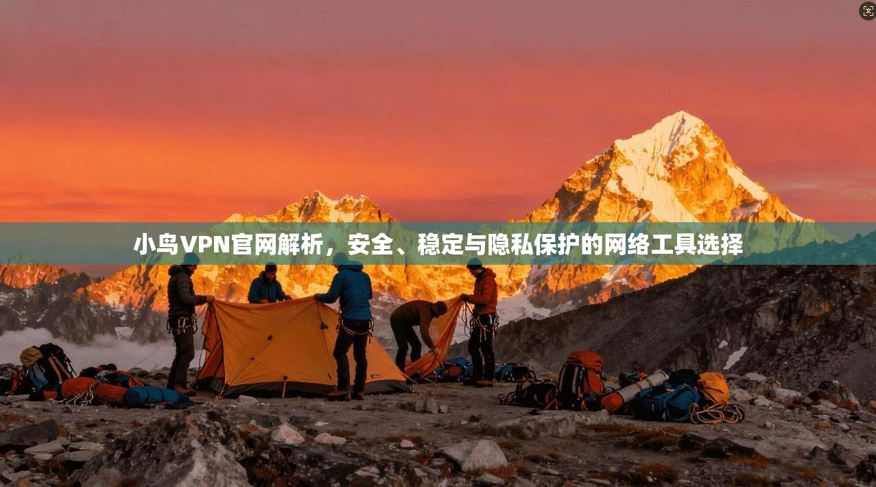 小鸟VPN官网解析，安全、稳定与隐私保护的网络工具选择