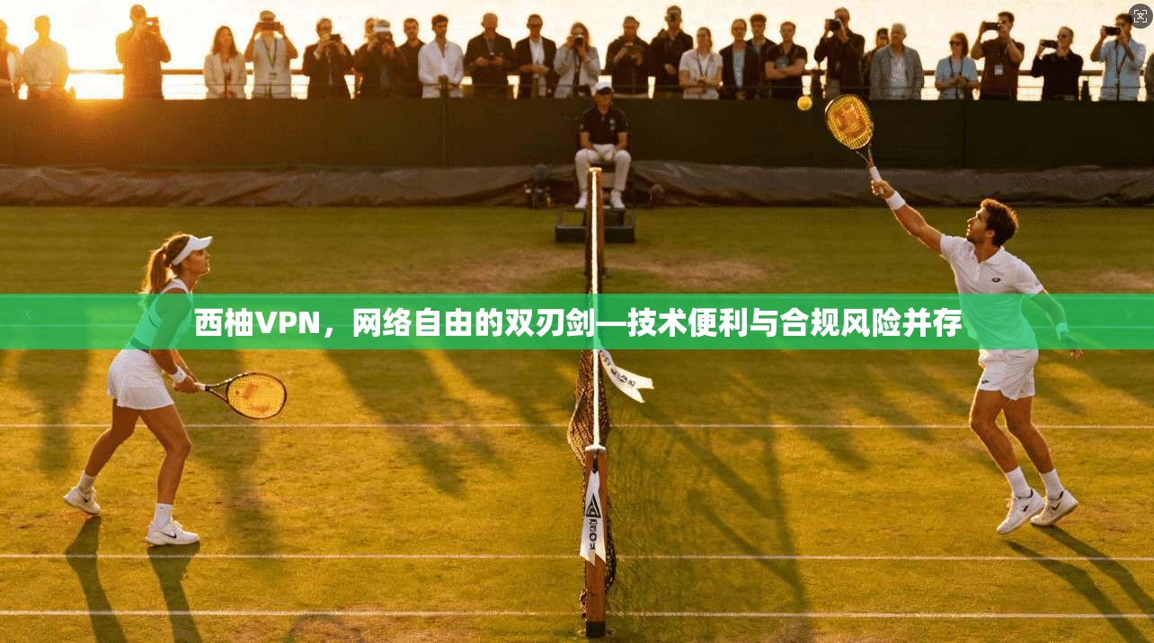 西柚VPN，网络自由的双刃剑—技术便利与合规风险并存