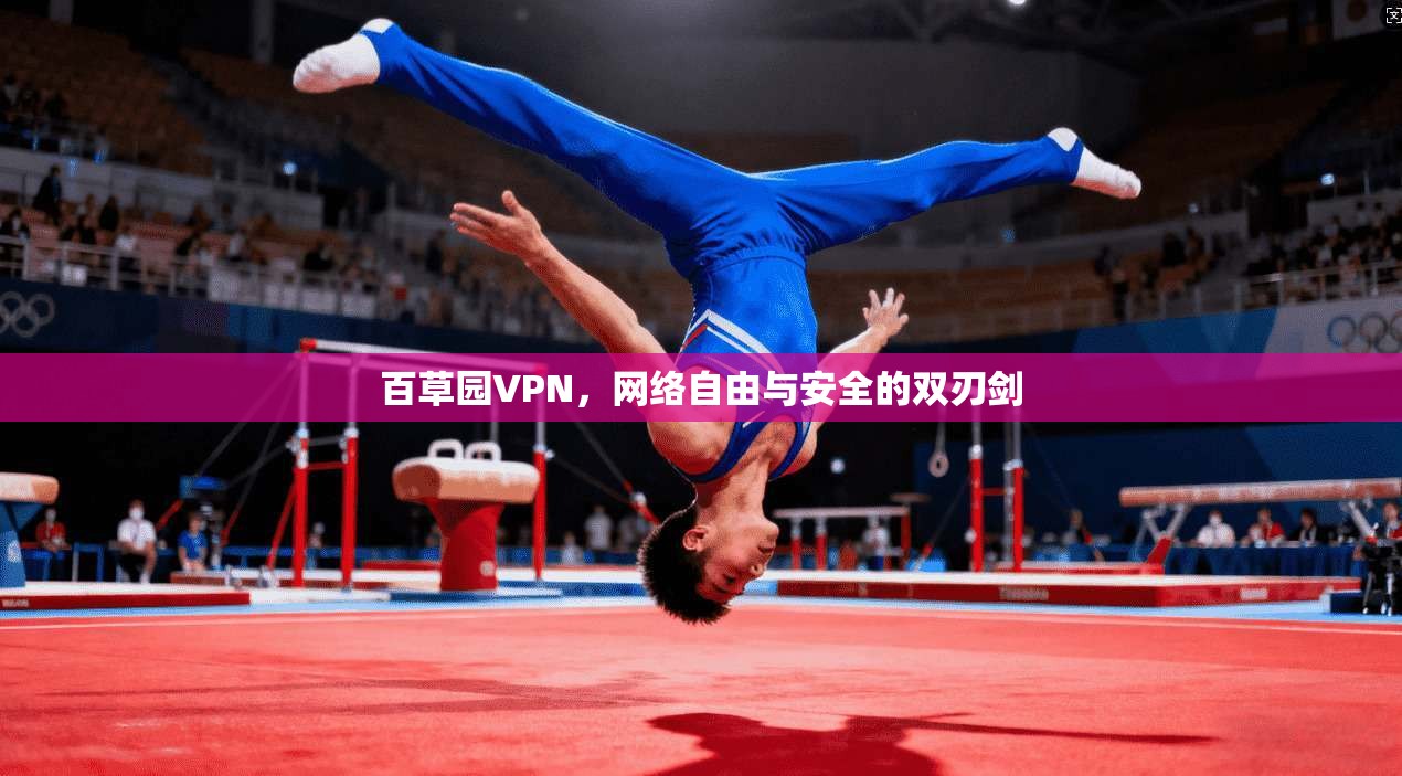 百草园VPN，网络自由与安全的双刃剑