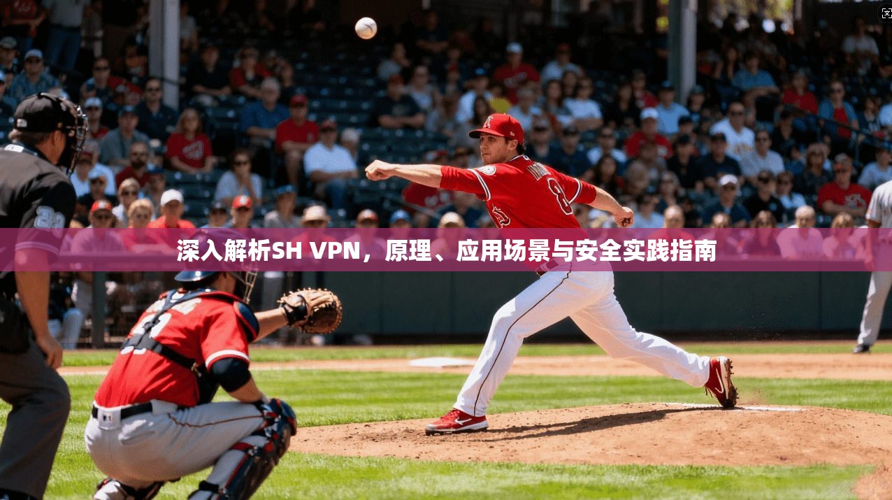 深入解析SH VPN，原理、应用场景与安全实践指南  第1张