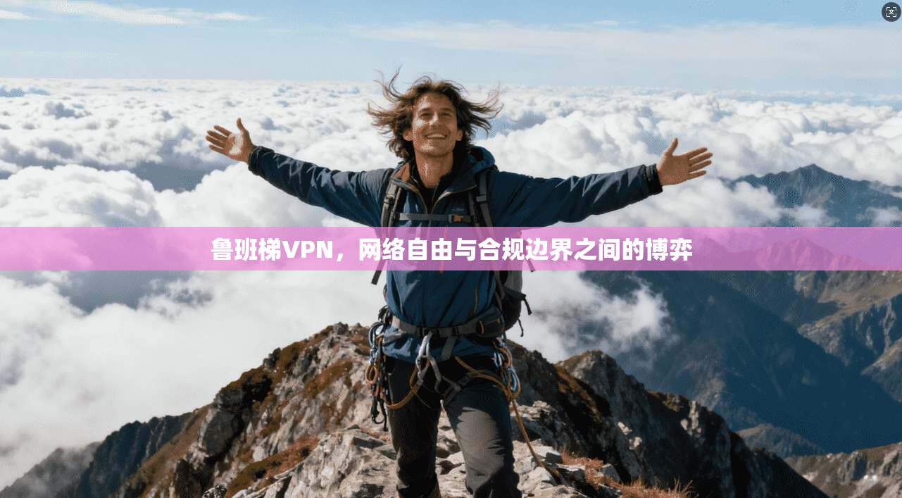 鲁班梯VPN，网络自由与合规边界之间的博弈