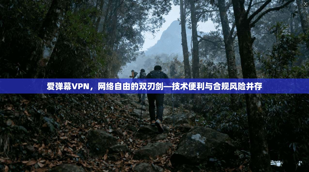 爱弹幕VPN，网络自由的双刃剑—技术便利与合规风险并存