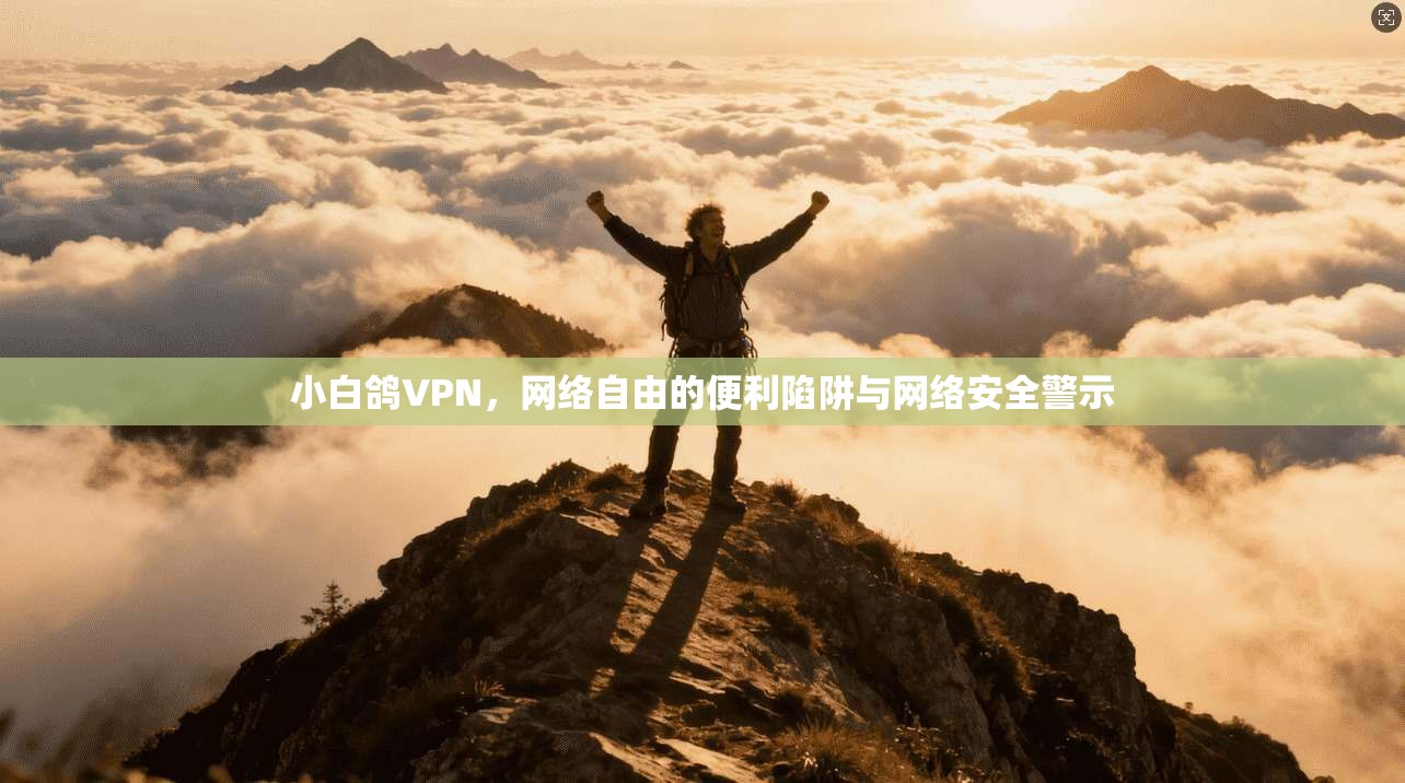 小白鸽VPN，网络自由的便利陷阱与网络安全警示  第1张