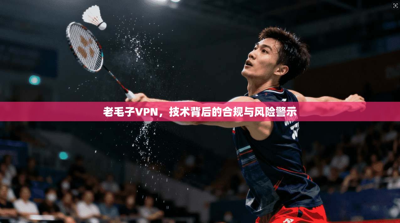 老毛子VPN，技术背后的合规与风险警示