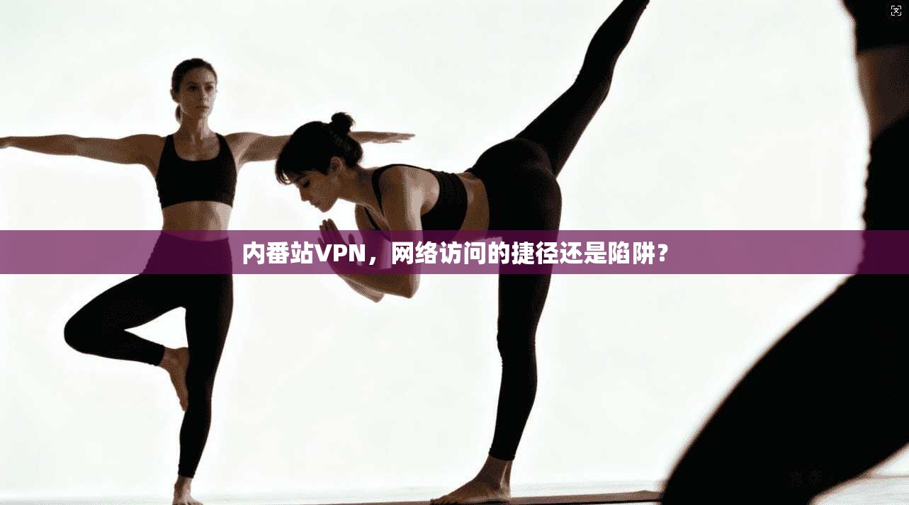 内番站VPN，网络访问的捷径还是陷阱？
