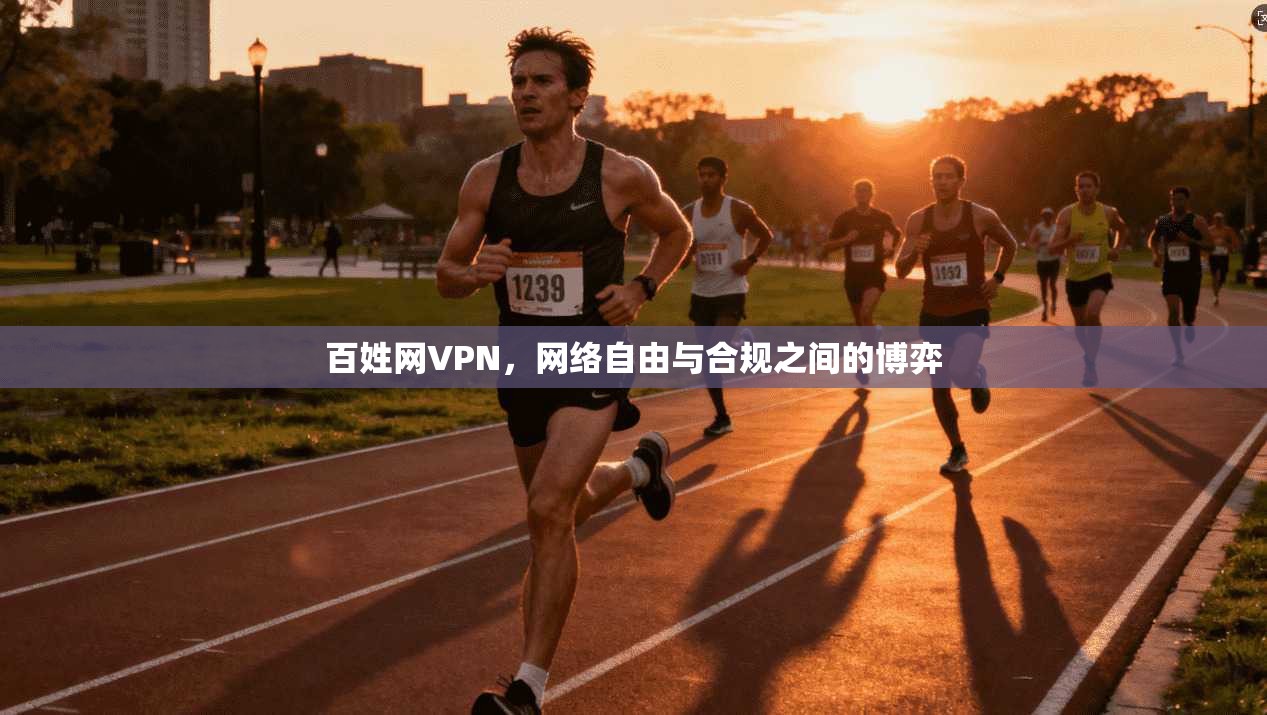 百姓网VPN，网络自由与合规之间的博弈