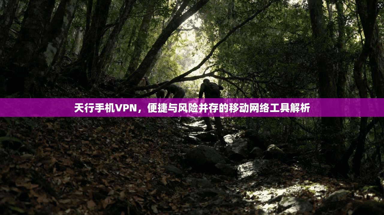天行手机VPN，便捷与风险并存的移动网络工具解析